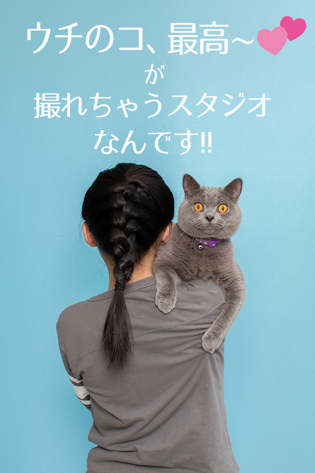 catlove_01_005.jpg