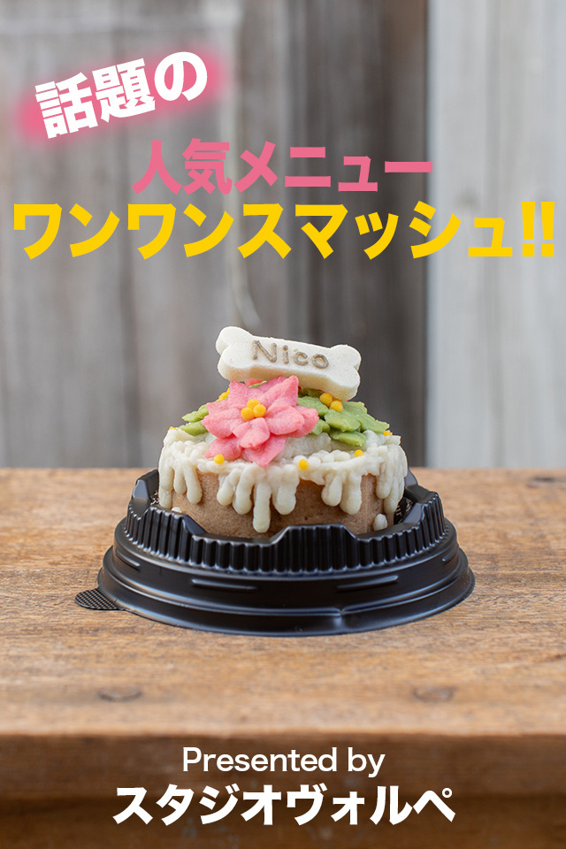 ワンワンスマッシュケーキ